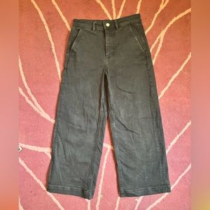 Everlane Wide Leg Pants